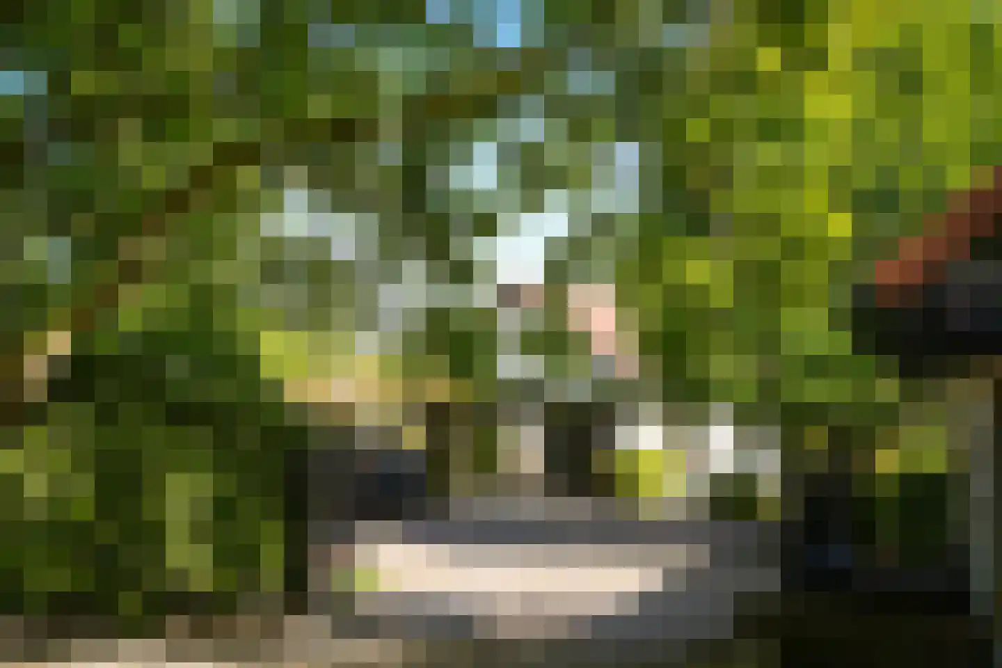 Waaldijk 101 Hurwenen thumbnail 62