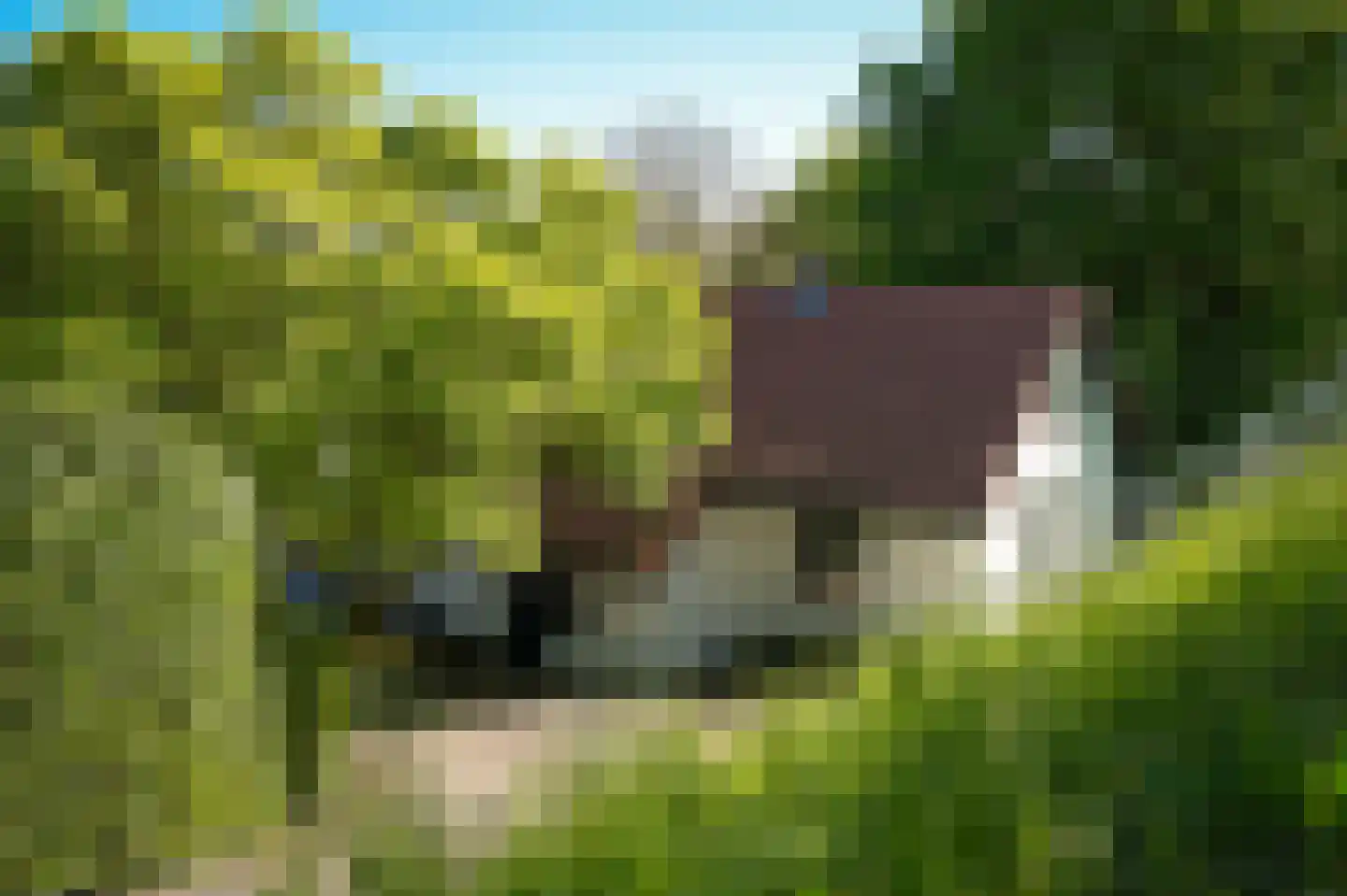 Waaldijk 101 Hurwenen thumbnail 63