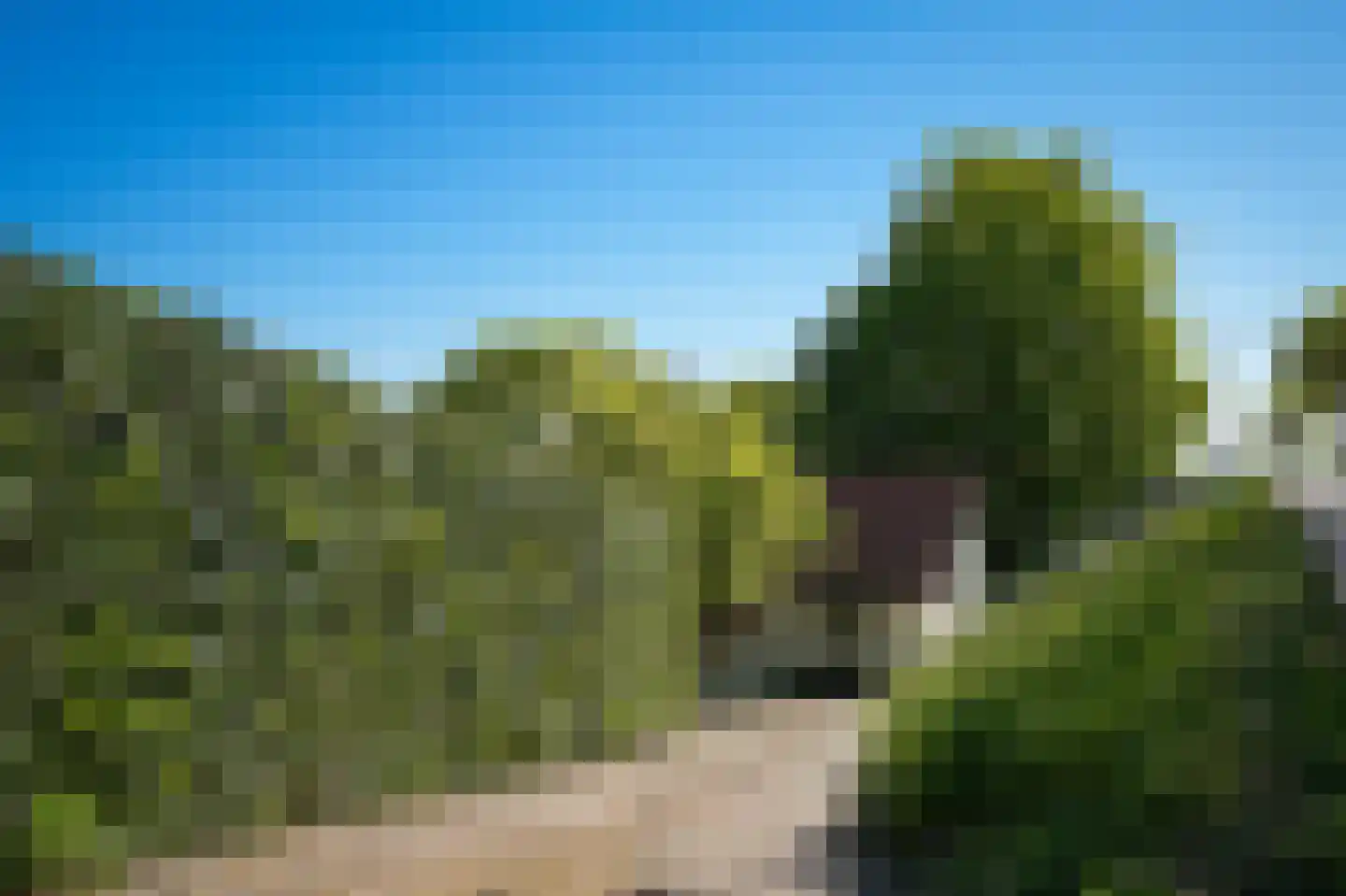 Waaldijk 101 Hurwenen thumbnail 64