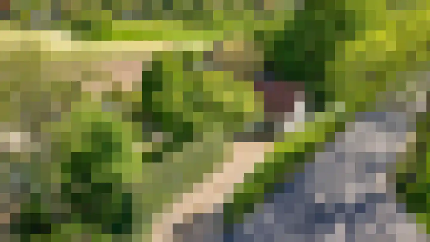 Waaldijk 101 Hurwenen thumbnail 66