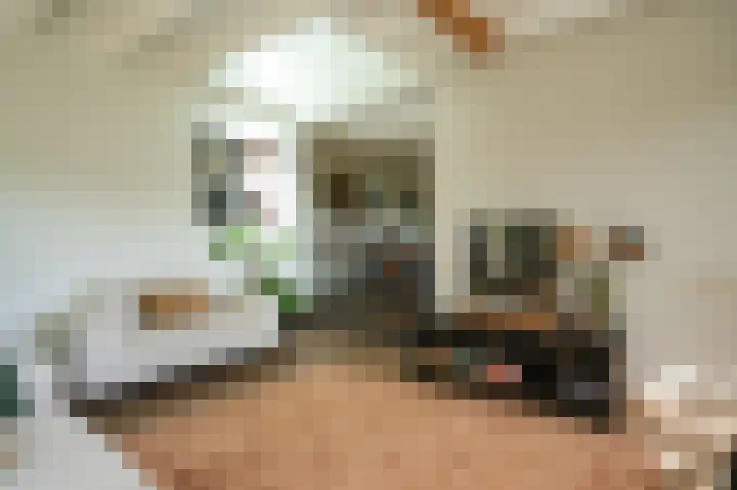 Waaldijk 101 Hurwenen thumbnail 7