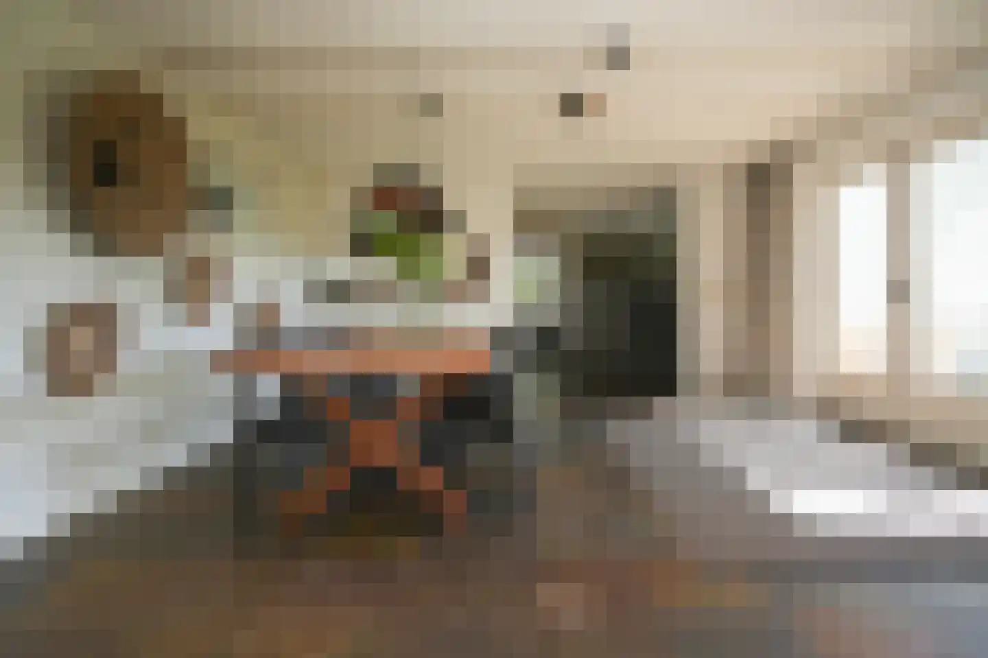 Waaldijk 101 Hurwenen thumbnail 8