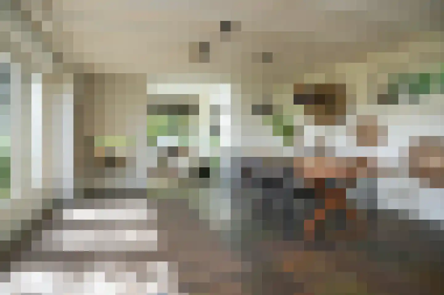 Waaldijk 101 Hurwenen thumbnail 9