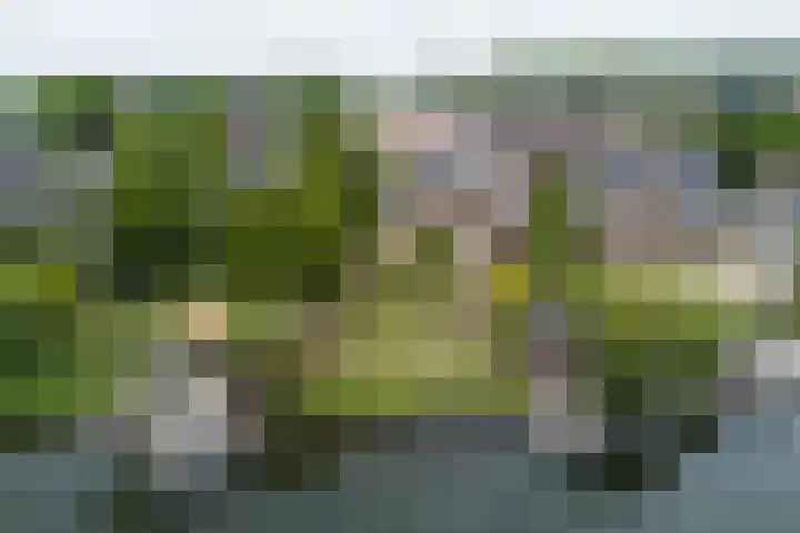 Waaldijk 119 Ridderkerk thumbnail 4