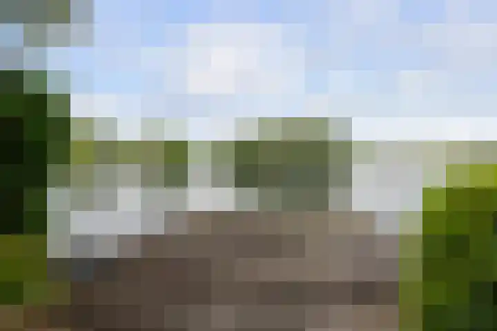 Waaldijk 119 Ridderkerk thumbnail 62