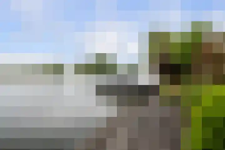 Waaldijk 119 Ridderkerk thumbnail 63