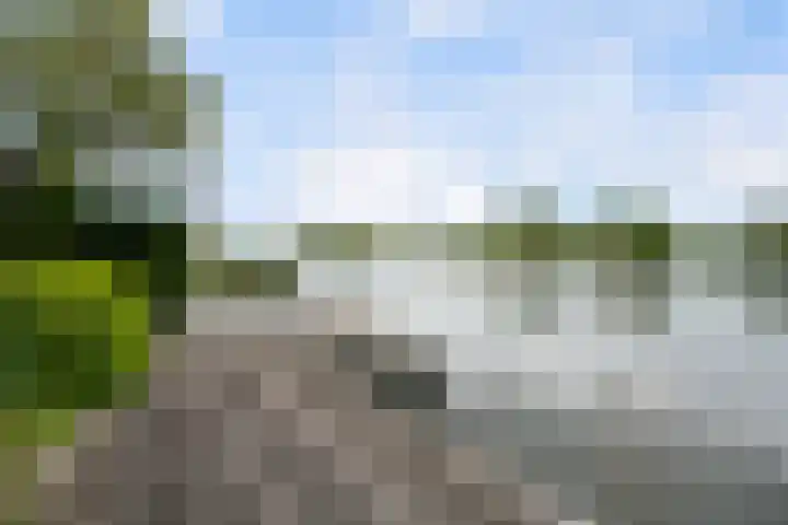 Waaldijk 119 Ridderkerk thumbnail 64