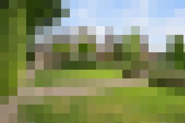 Waaldijk 119 Ridderkerk thumbnail 65