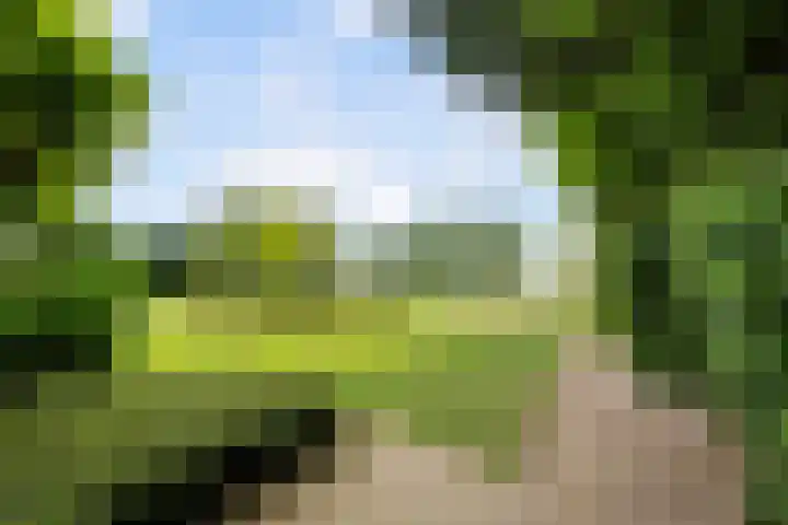 Waaldijk 119 Ridderkerk thumbnail 66