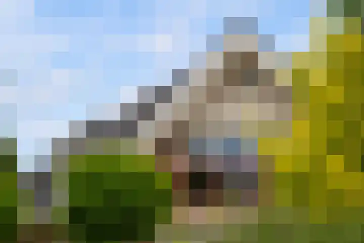 Waaldijk 119 Ridderkerk thumbnail 68