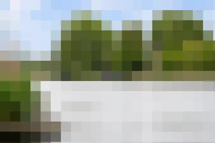 Waaldijk 119 Ridderkerk thumbnail 70