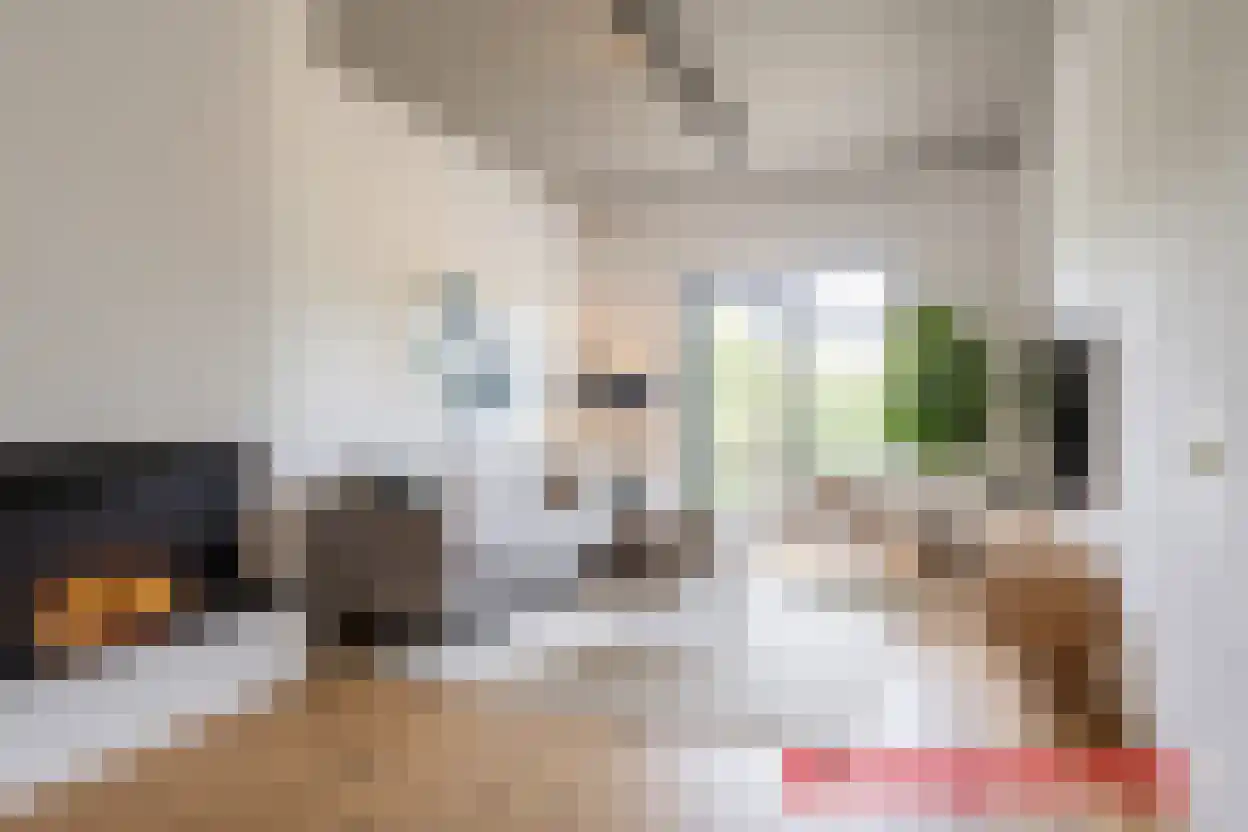 Waaldijk 12 Bemmel thumbnail 16