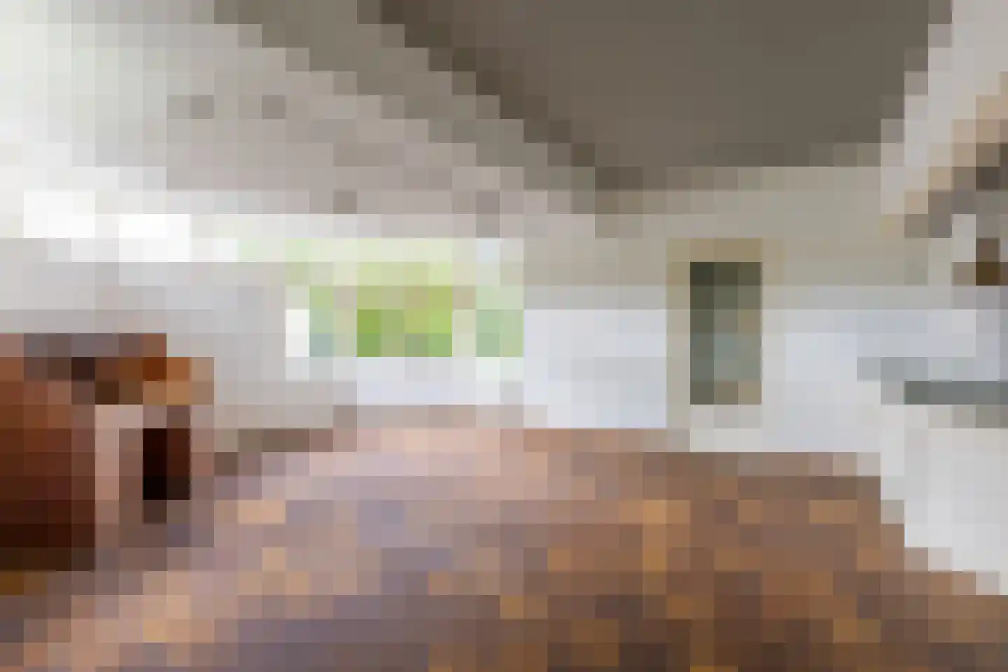 Waaldijk 12 Bemmel thumbnail 17