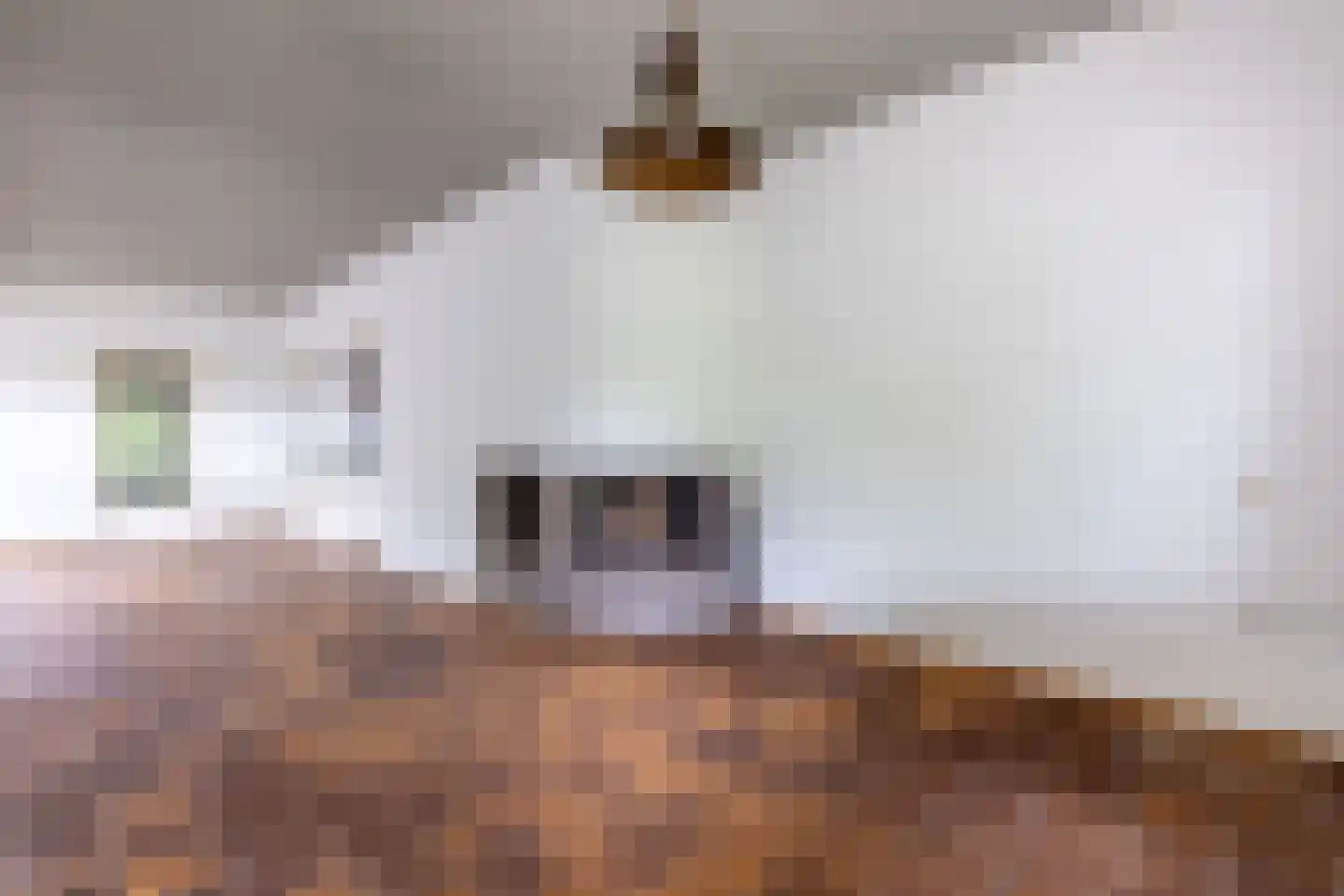 Waaldijk 12 Bemmel thumbnail 21