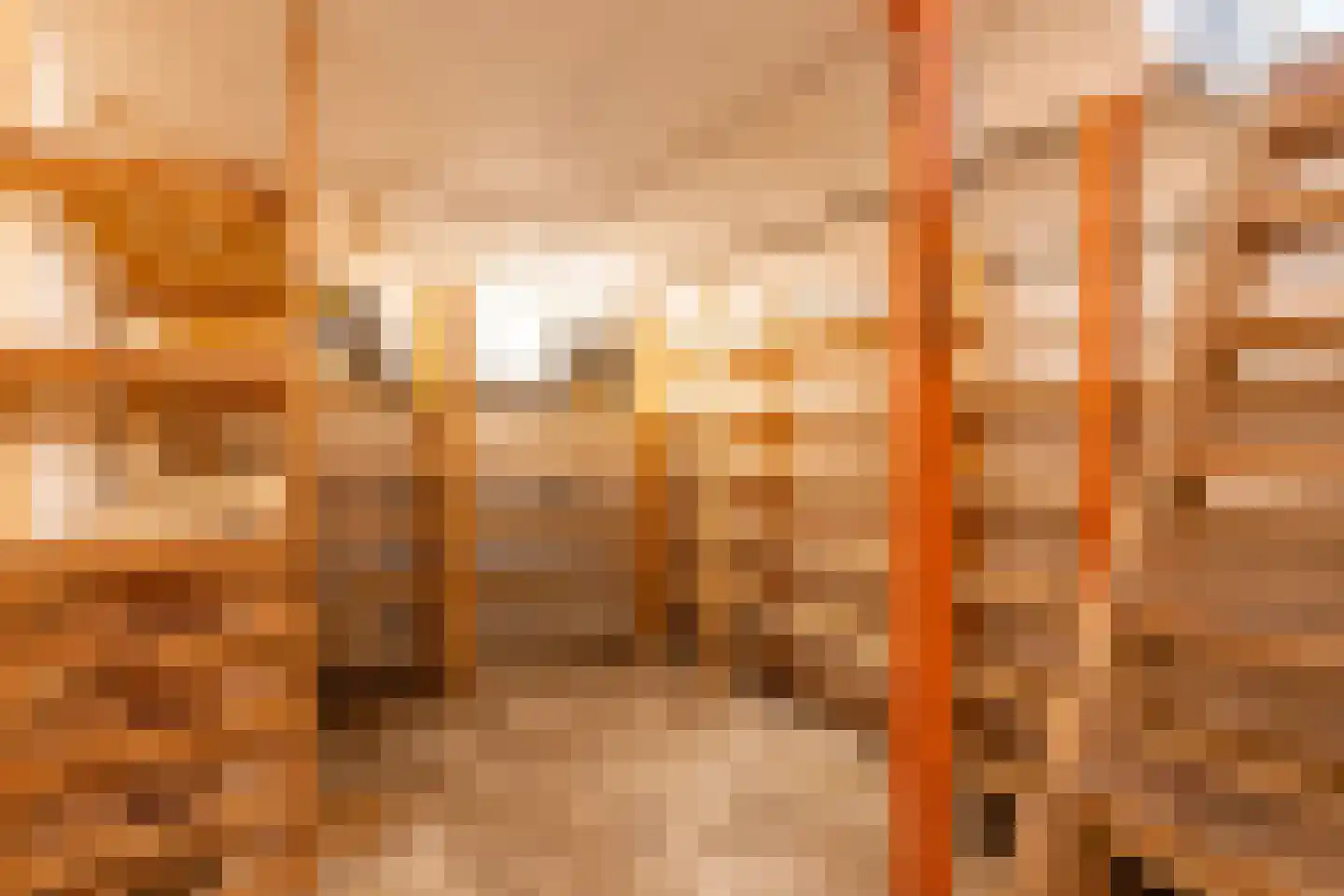 Waaldijk 12 Bemmel thumbnail 22