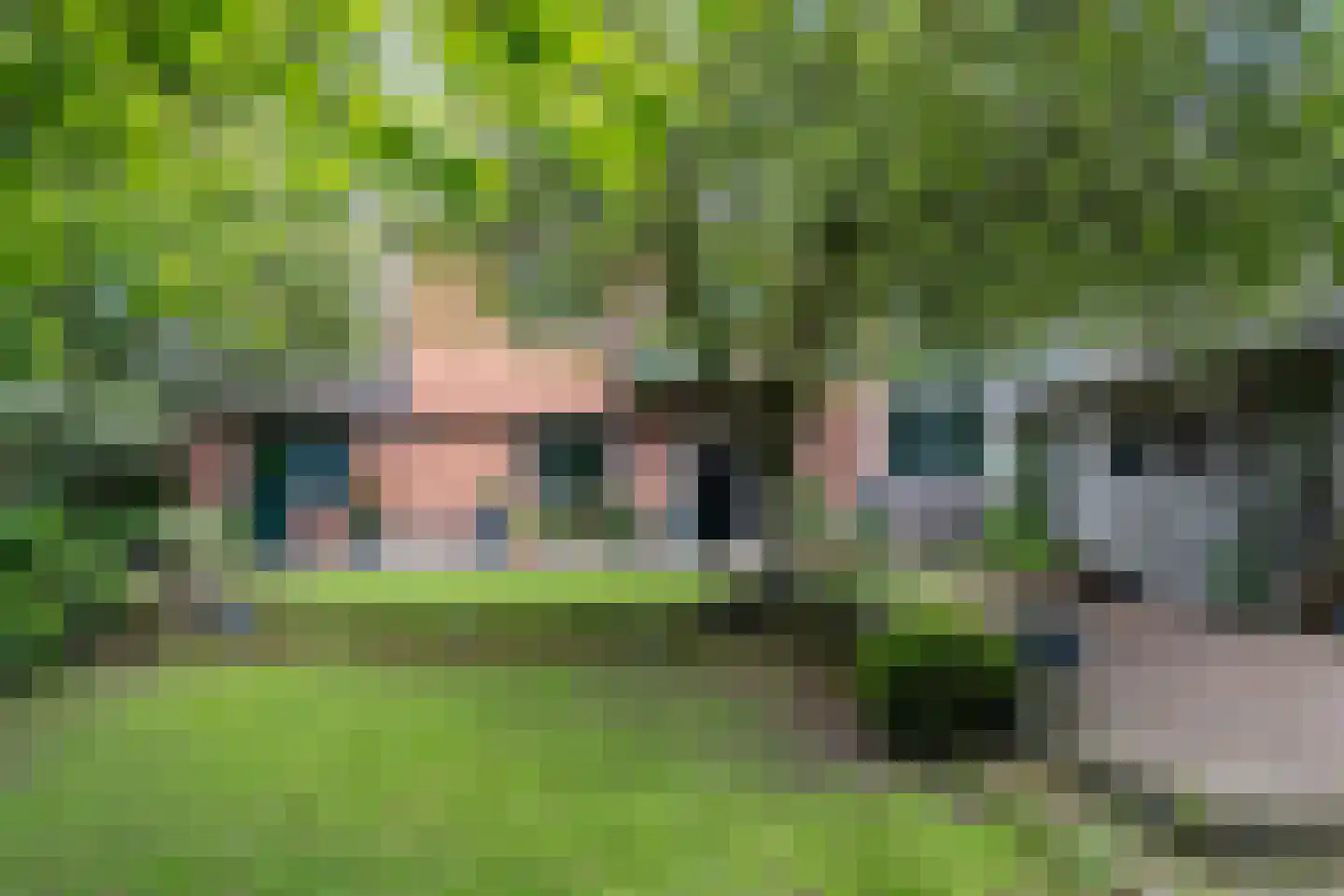 Waaldijk 12 Bemmel thumbnail 25