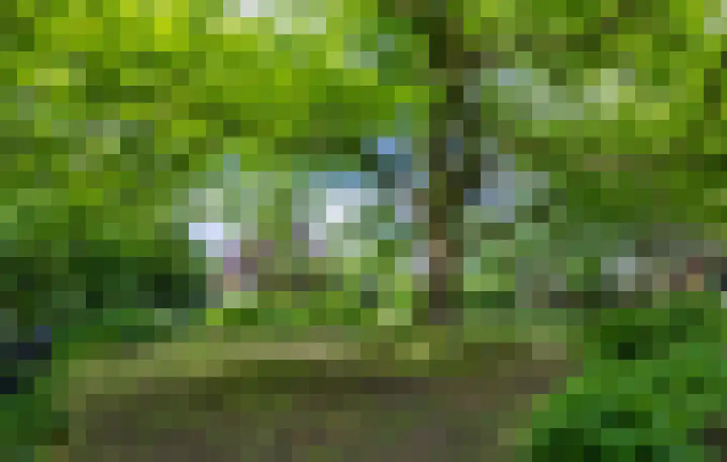 Waaldijk 12 Bemmel thumbnail 27