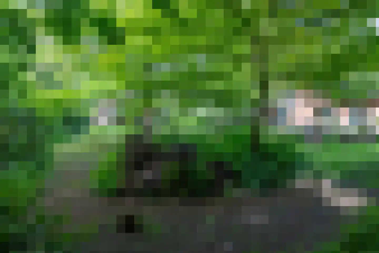 Waaldijk 12 Bemmel thumbnail 28