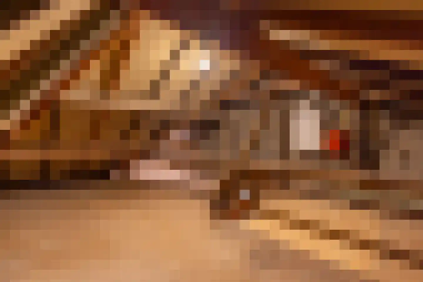 Waaldijk 12 Bemmel thumbnail 36
