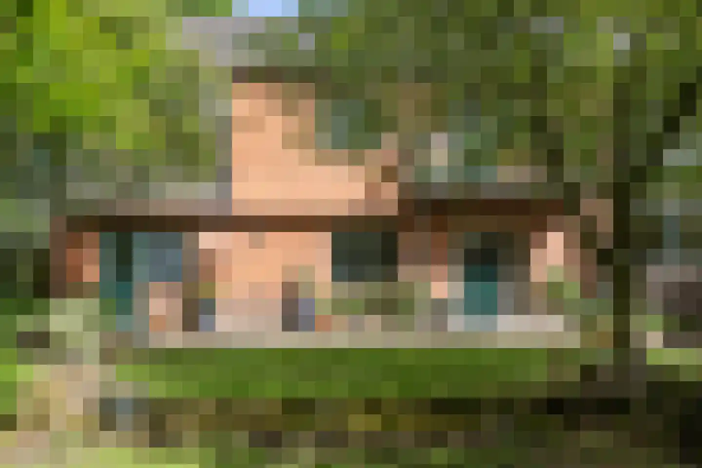 Waaldijk 12 Bemmel thumbnail 37