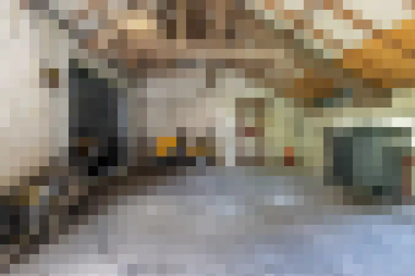 Waaldijk 12 Bemmel thumbnail 39