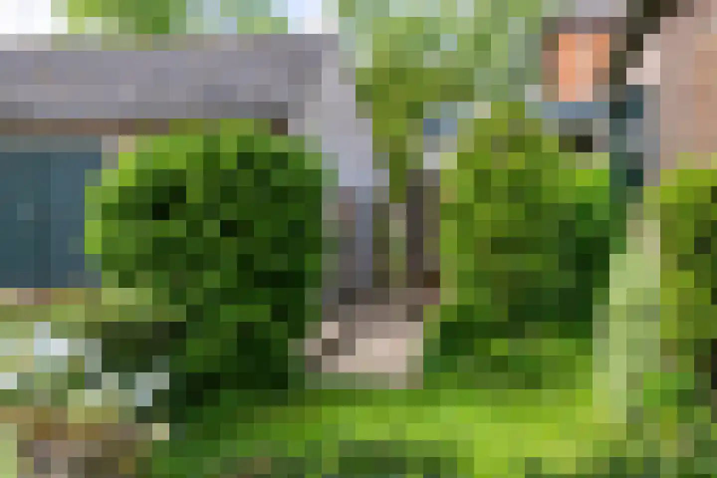 Waaldijk 12 Bemmel thumbnail 41