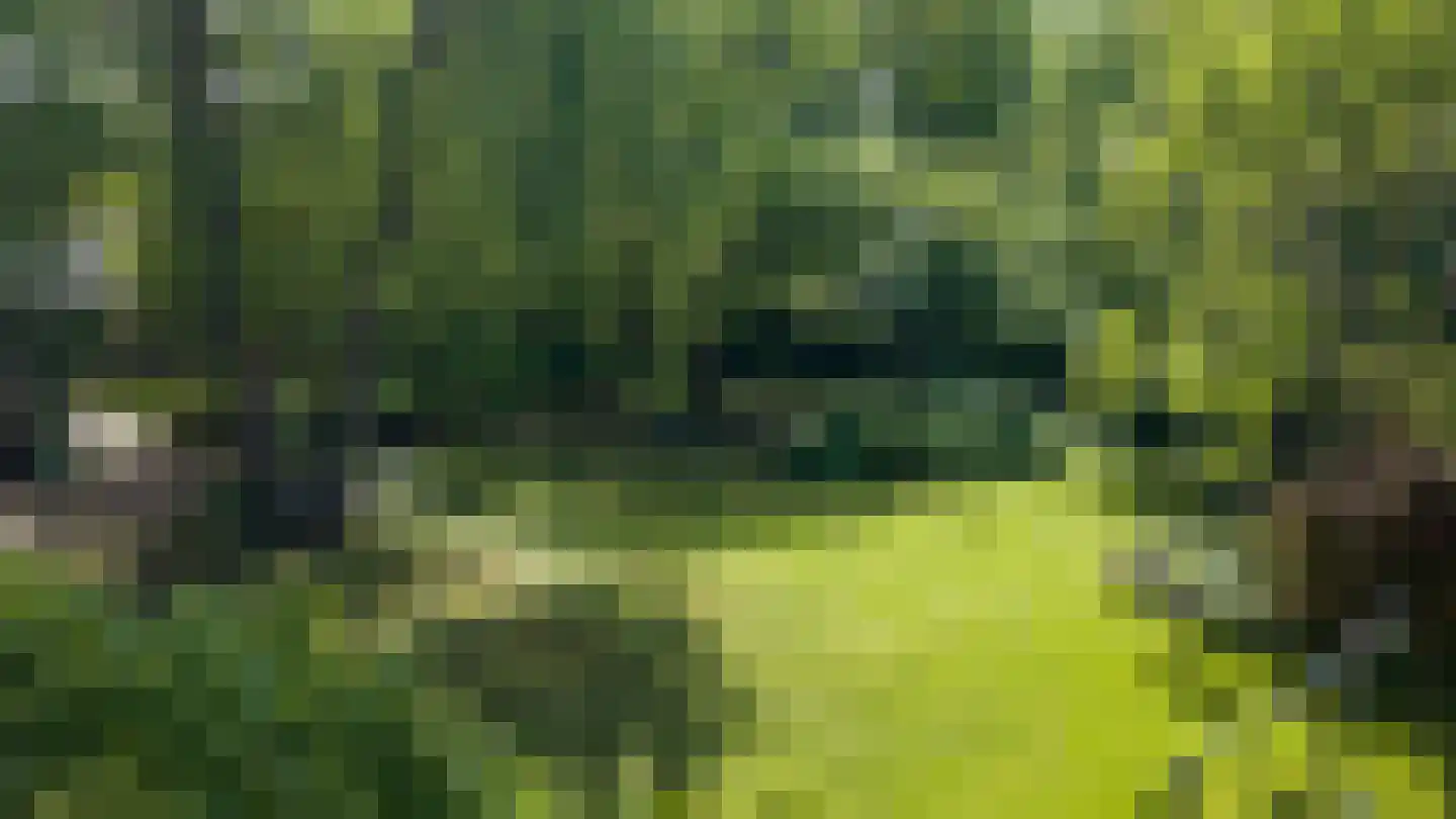 Waaldijk 12 Bemmel thumbnail 42