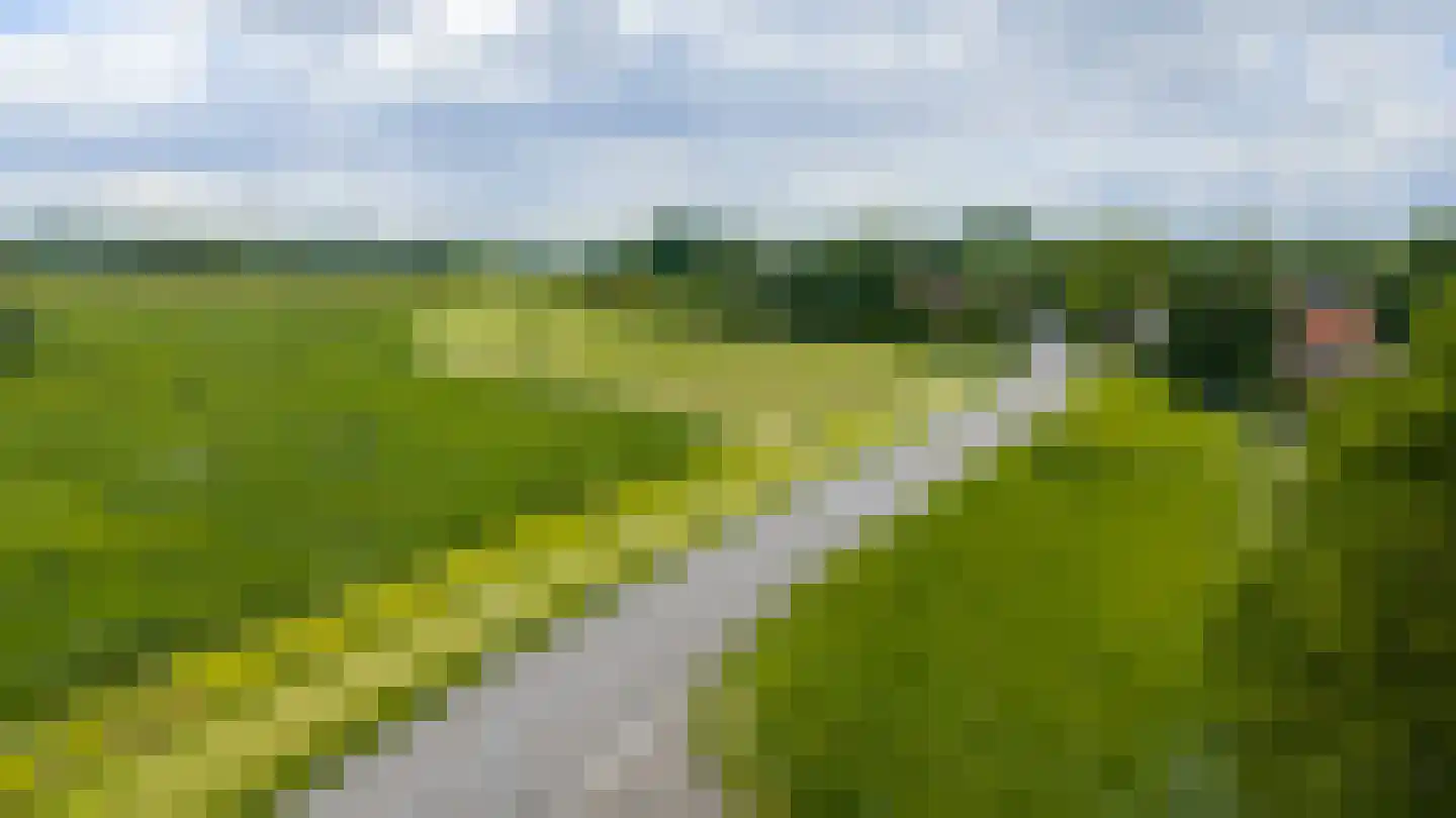 Waaldijk 12 Bemmel thumbnail 43