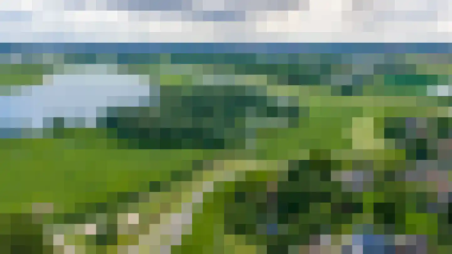 Waaldijk 12 Bemmel thumbnail 52