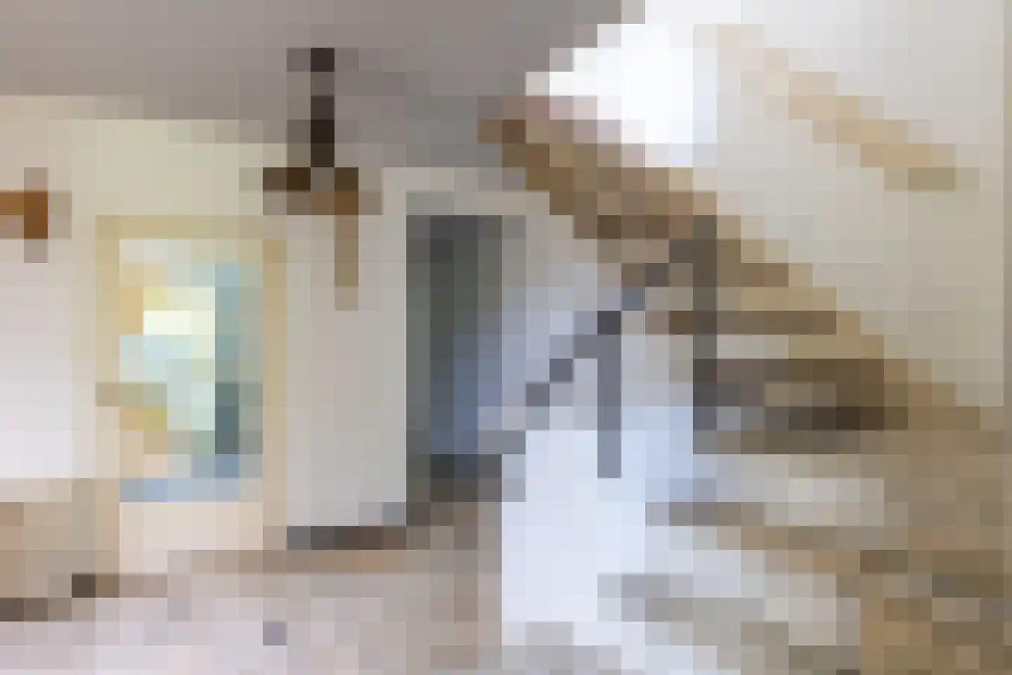 Waaldijk 12 Bemmel thumbnail 6