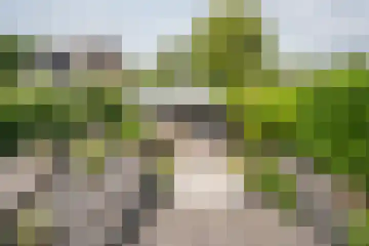 Waaldijk 136 Vuren thumbnail 37