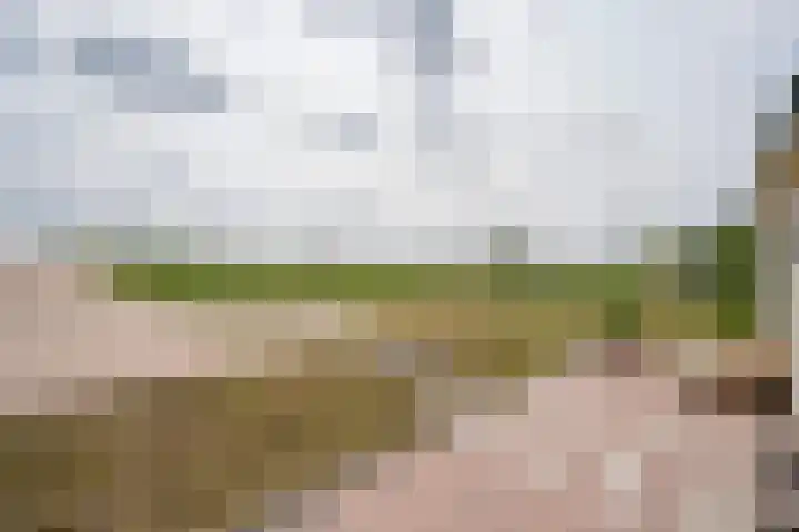 Waaldijk 136 Vuren thumbnail 7