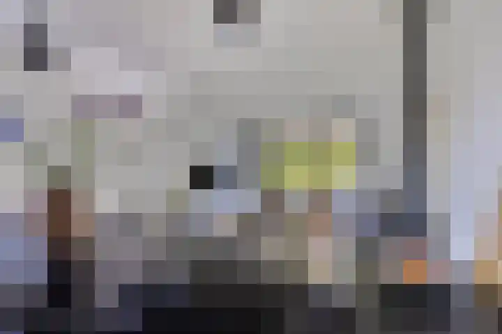 Waaldijk 149 Ridderkerk thumbnail 12