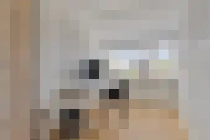 Waaldijk 149 Ridderkerk thumbnail 18