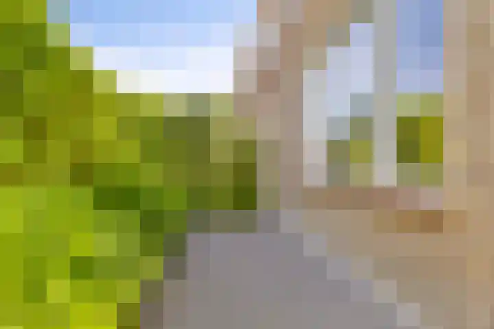 Waaldijk 149 Ridderkerk thumbnail 21
