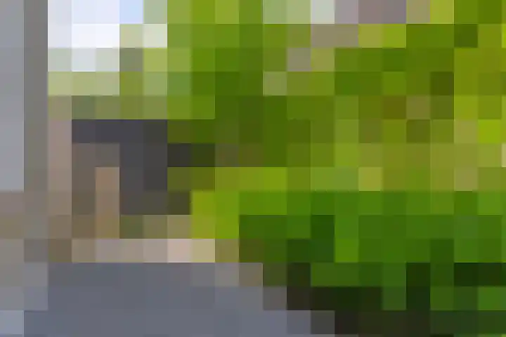Waaldijk 149 Ridderkerk thumbnail 22