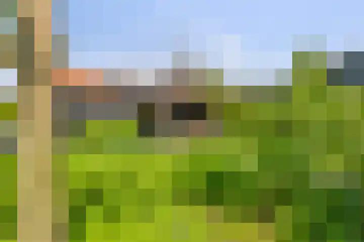 Waaldijk 149 Ridderkerk thumbnail 23