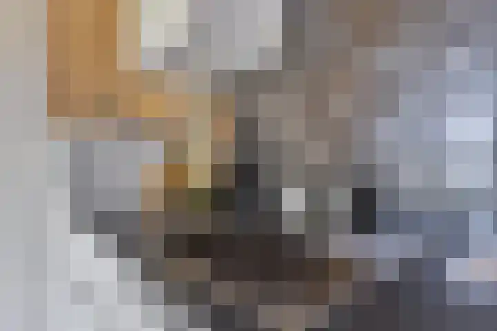 Waaldijk 149 Ridderkerk thumbnail 25