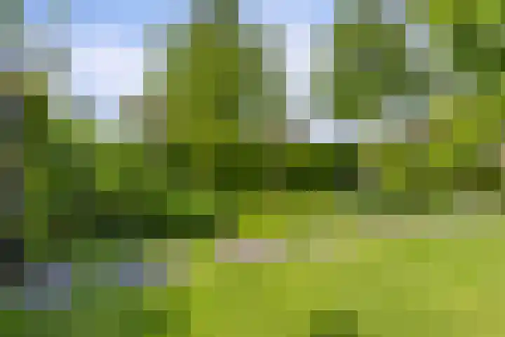 Waaldijk 149 Ridderkerk thumbnail 31