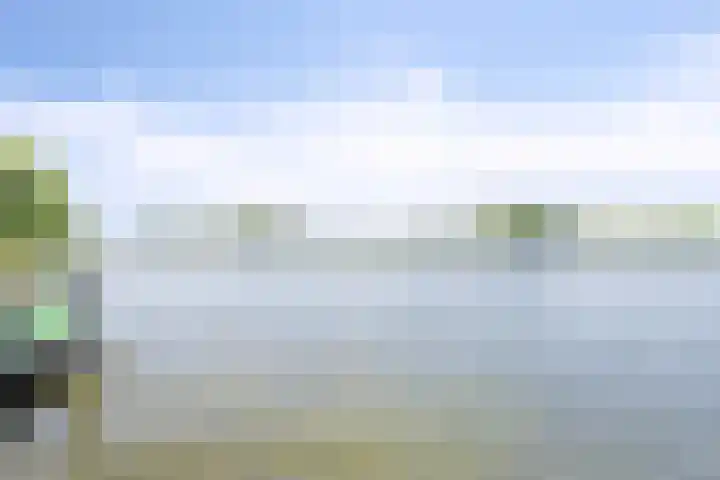 Waaldijk 149 Ridderkerk thumbnail 33