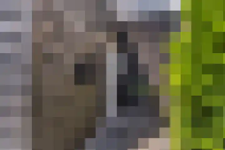 Waaldijk 149 Ridderkerk thumbnail 4