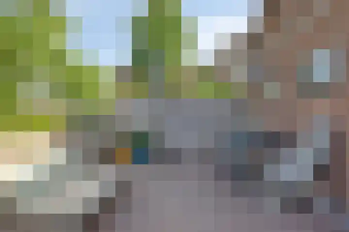 Waaldijk 159 Brakel thumbnail 31