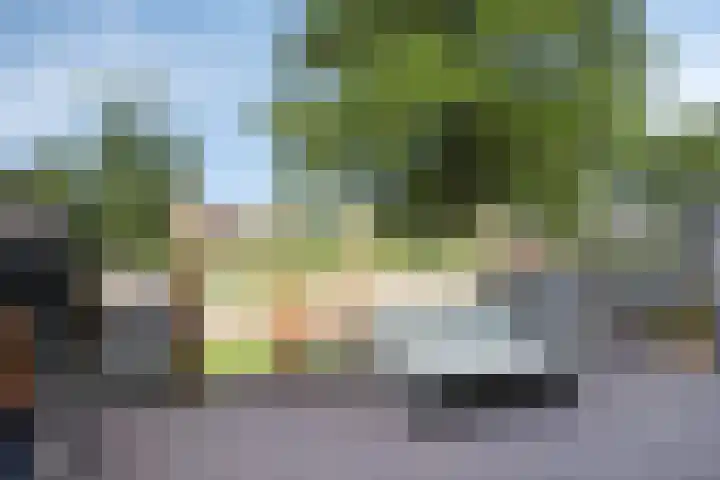 Waaldijk 159 Brakel thumbnail 33