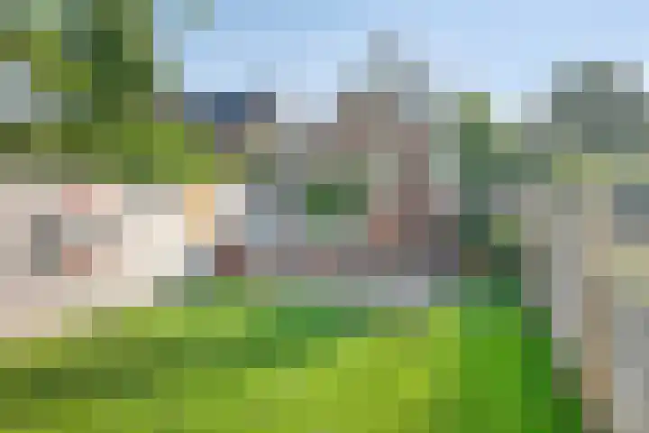 Waaldijk 159 Brakel thumbnail 34