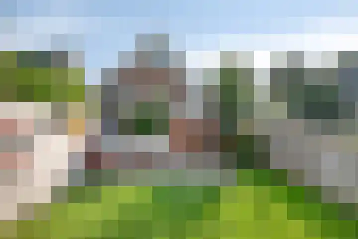 Waaldijk 159 Brakel thumbnail 35