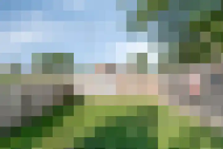 Waaldijk 159 Brakel thumbnail 36