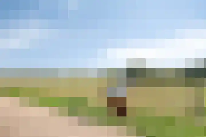 Waaldijk 159 Brakel thumbnail 38