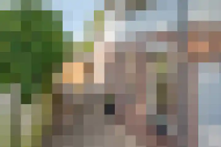 Waaldijk 159 Brakel thumbnail 4