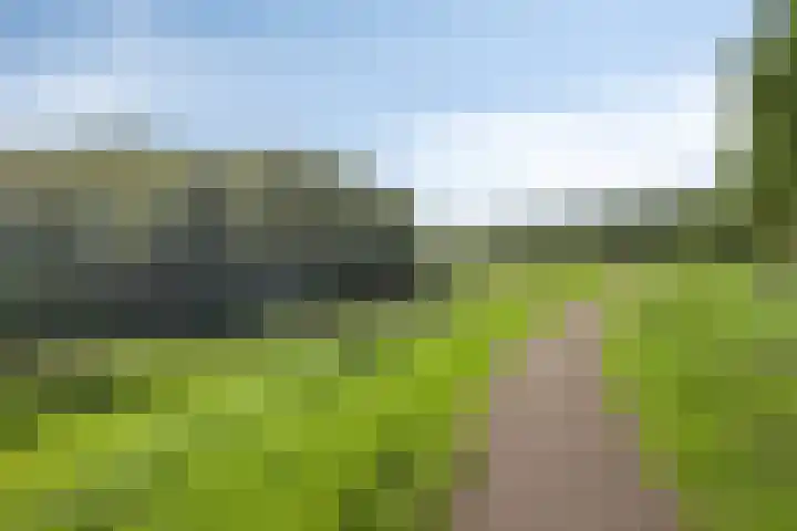 Waaldijk 159 Brakel thumbnail 40
