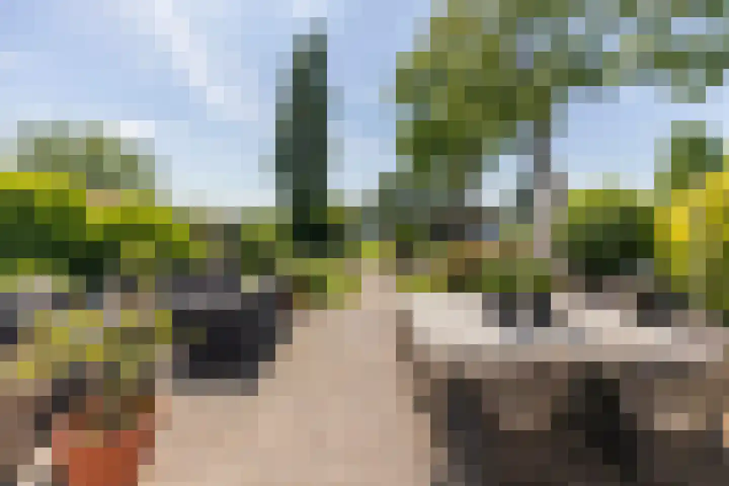 Waaldijk 161 Ridderkerk thumbnail 10